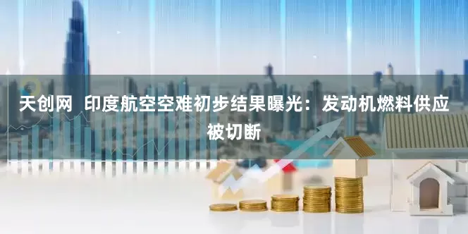 天创网  印度航空空难初步结果曝光：发动机燃料供应被切断