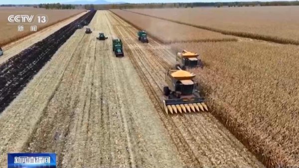 同花顺e配 秋收进入冲刺阶段 各地多举措确保粮食“颗粒归仓”