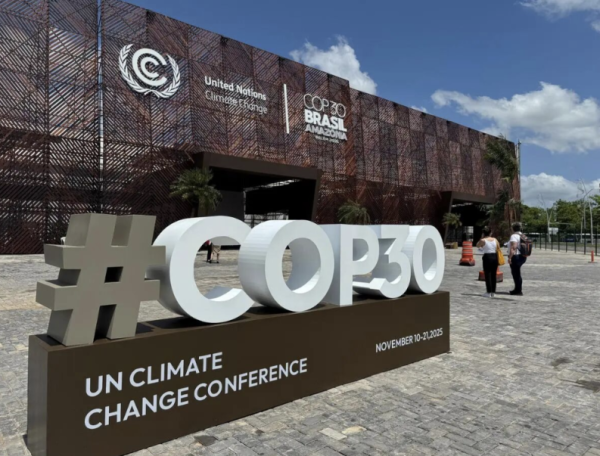 豌豆财富 巴西决定: 临时迁都